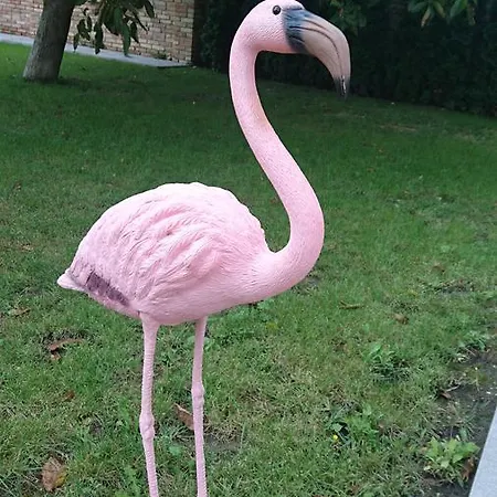 Flamingo Panzio