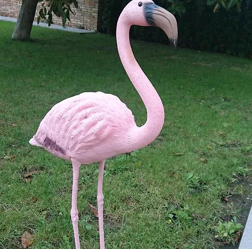 Flamingo Panzio